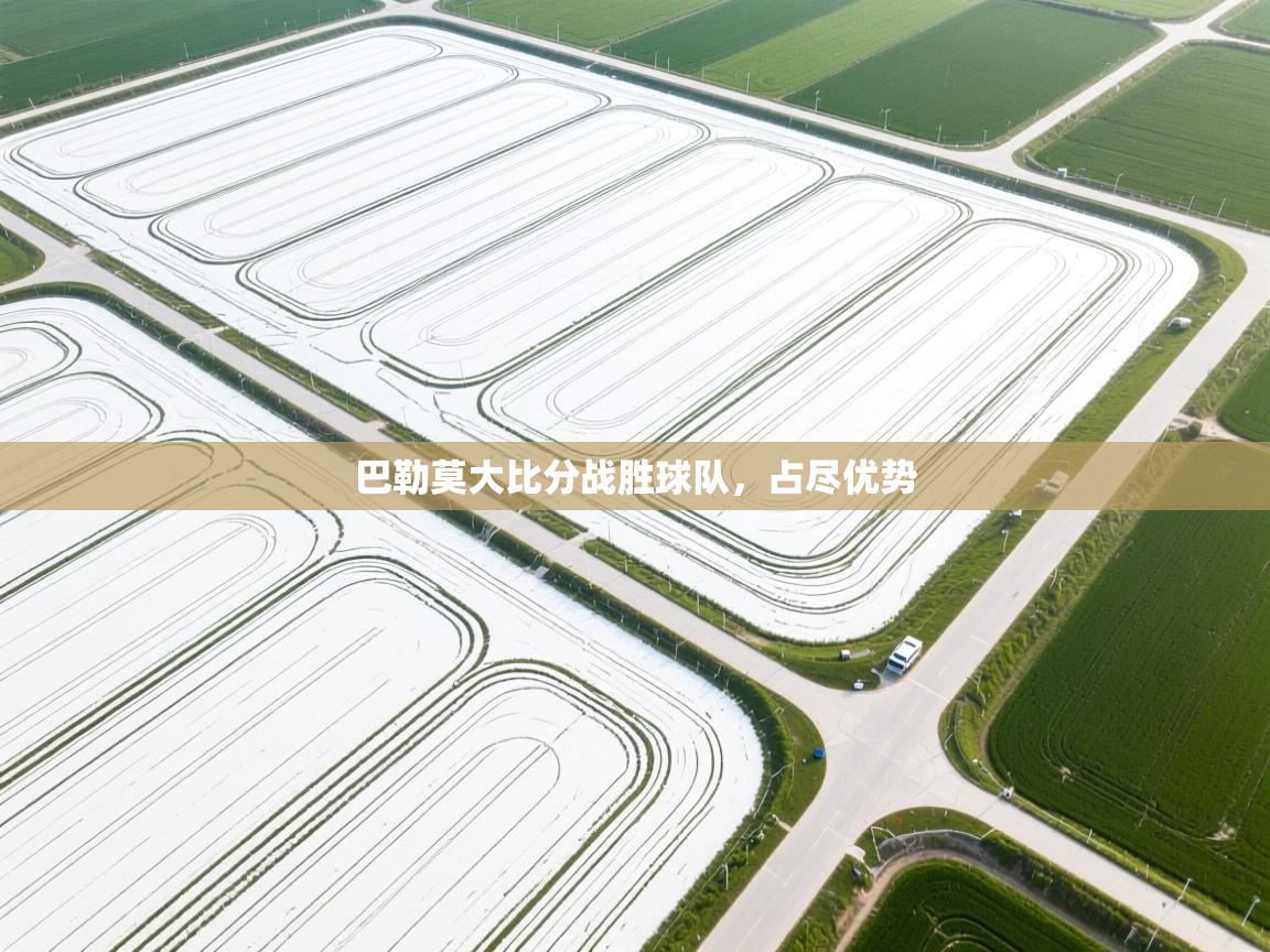巴勒莫大比分战胜球队，占尽优势