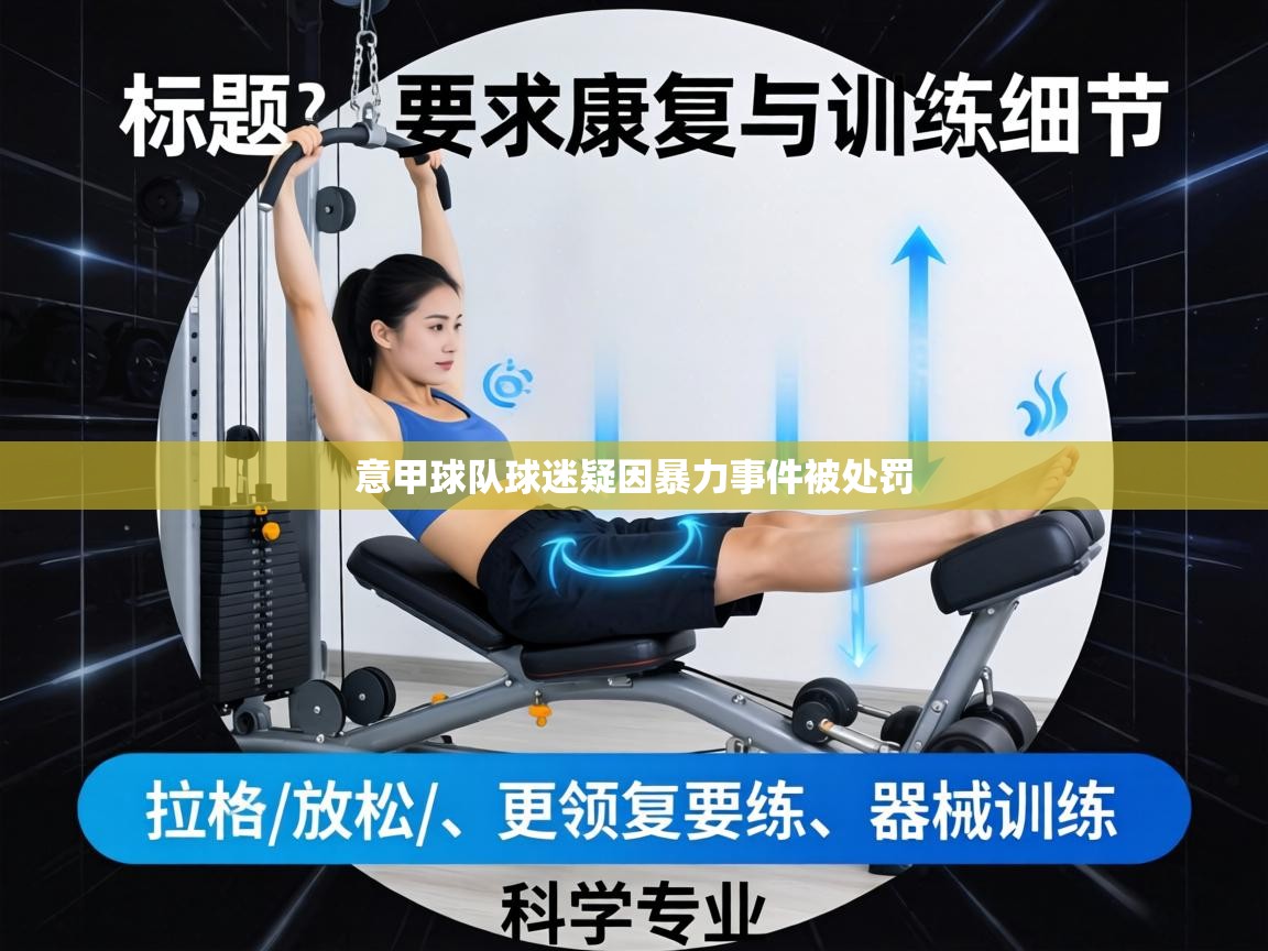 意甲球队球迷疑因暴力事件被处罚